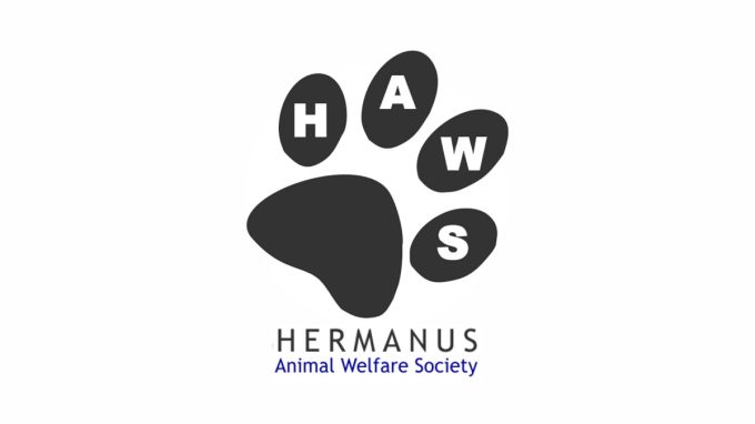 HAWS &#8211; Hermanus Animal Welfare Society