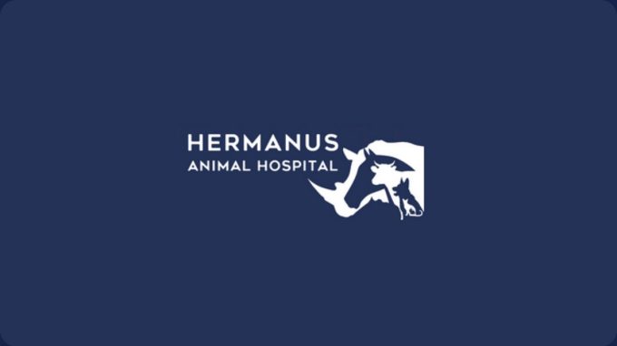 Hermanus Animal Hospital &#8211; Hermanus CBD Branch