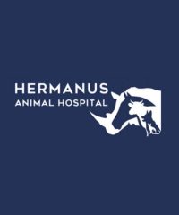 Hermanus Animal Hospital – Hermanus CBD Branch