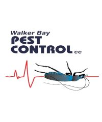 Walker Bay Pest Control – Hermanus Pest Control